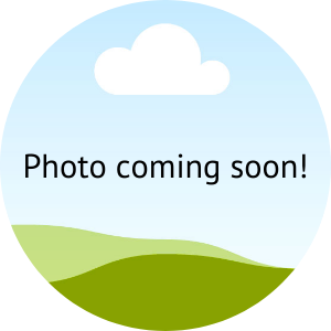 Photo-coming-soon Photo-coming-soon